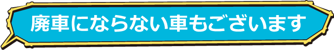 廃車にならない車もございます